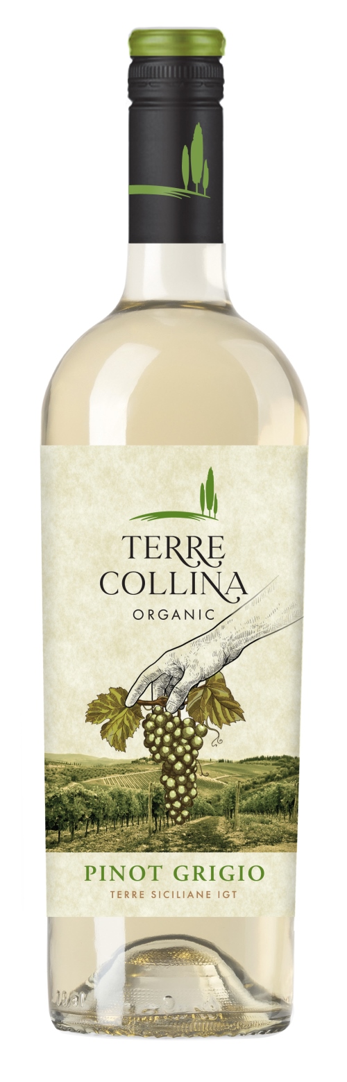 Terre Collina Organic Pinot Grigio Terre Siciliane 75cl - Mediato